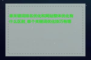 单关键词排名优化和网站整体优化有什么区别_单个关键词优化技巧有哪些