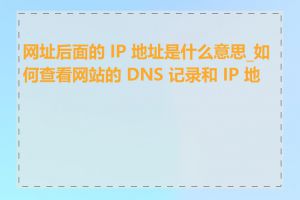 网址后面的 IP 地址是什么意思_如何查看网站的 DNS 记录和 IP 地址