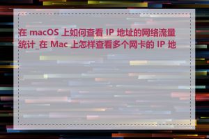 在 macOS 上如何查看 IP 地址的网络流量统计_在 Mac 上怎样查看多个网卡的 IP 地址