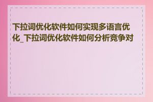 下拉词优化软件如何实现多语言优化_下拉词优化软件如何分析竞争对手