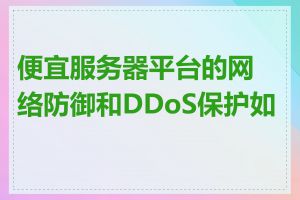 便宜服务器平台的网络防御和DDoS保护如何