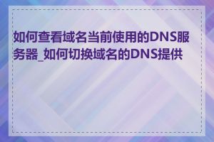 如何查看域名当前使用的DNS服务器_如何切换域名的DNS提供商