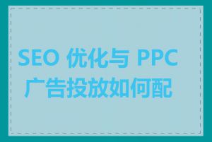 SEO 优化与 PPC 广告投放如何配合