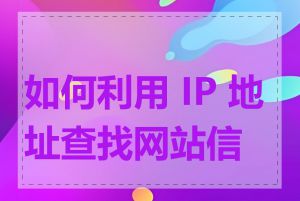 如何利用 IP 地址查找网站信息