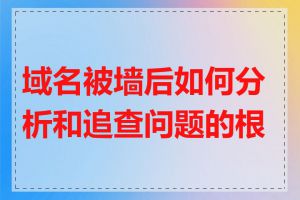 域名被墙后如何分析和追查问题的根源