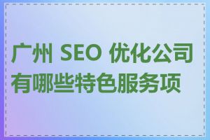 广州 SEO 优化公司有哪些特色服务项目