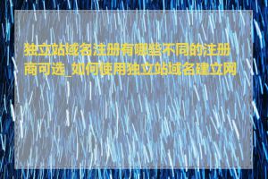 独立站域名注册有哪些不同的注册商可选_如何使用独立站域名建立网站