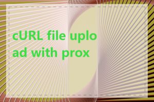 cURL file upload with proxy