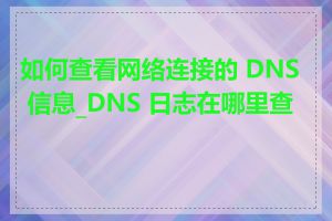 如何查看网络连接的 DNS 信息_DNS 日志在哪里查看