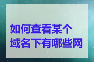 如何查看某个域名下有哪些网站