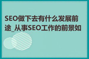 SEO做下去有什么发展前途_从事SEO工作的前景如何