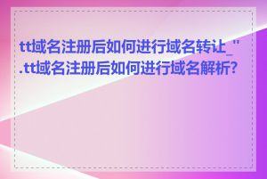 tt域名注册后如何进行域名转让_".tt域名注册后如何进行域名解析?"