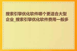 搜索引擎优化软件哪个更适合大型企业_搜索引擎优化软件费用一般多少