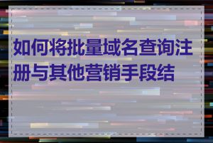 如何将批量域名查询注册与其他营销手段结合