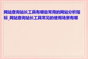 网站查询站长工具有哪些常用的网站分析指标_网站查询站长工具常见的使用场景有哪些