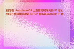 如何在 Linux/macOS 上查看局域网内的 IP 地址_如何在局域网内部署 DHCP 服务器自动分配 IP 地址