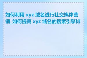 如何利用 xyz 域名进行社交媒体营销_如何提高 xyz 域名的搜索引擎排名