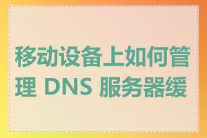 移动设备上如何管理 DNS 服务器缓存