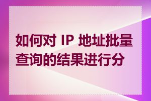 如何对 IP 地址批量查询的结果进行分析