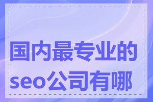 国内最专业的seo公司有哪些