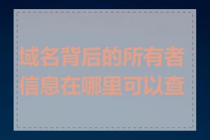 域名背后的所有者信息在哪里可以查到