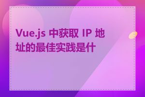 Vue.js 中获取 IP 地址的最佳实践是什么