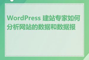 WordPress 建站专家如何分析网站的数据和数据报告