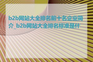 b2b网站大全排名前十名企业简介_b2b网站大全排名标准是什么