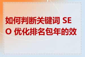 如何判断关键词 SEO 优化排名包年的效果