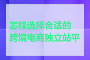 怎样选择合适的跨境电商独立站平台