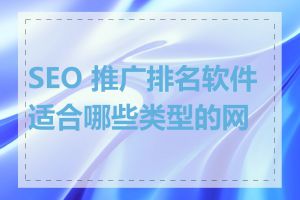 SEO 推广排名软件适合哪些类型的网站