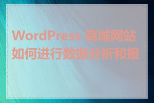 WordPress 商城网站如何进行数据分析和报表