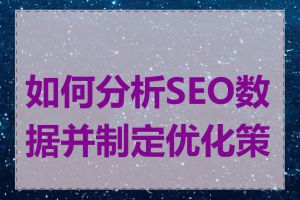 如何分析SEO数据并制定优化策略