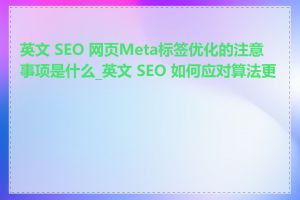 英文 SEO 网页Meta标签优化的注意事项是什么_英文 SEO 如何应对算法更新