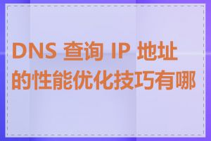 DNS 查询 IP 地址的性能优化技巧有哪些