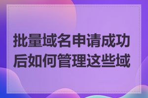 批量域名申请成功后如何管理这些域名