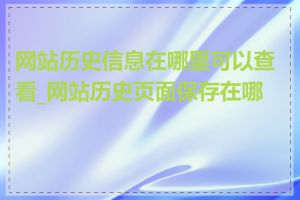 网站历史信息在哪里可以查看_网站历史页面保存在哪里