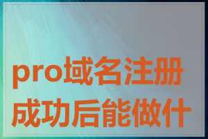 pro域名注册成功后能做什么