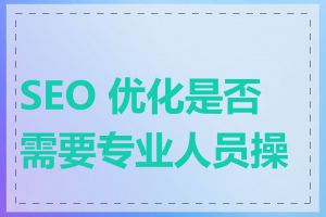 SEO 优化是否需要专业人员操作