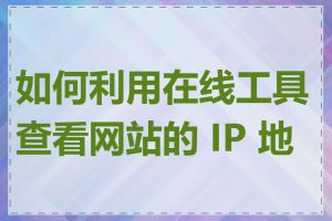 如何利用在线工具查看网站的 IP 地址