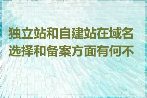 独立站和自建站在域名选择和备案方面有何不同