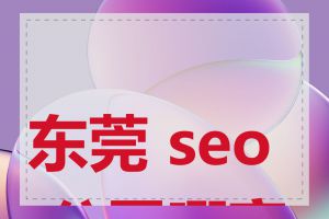 东莞 seo 公司哪家好