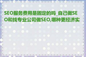 SEO服务费用是固定的吗_自己做SEO和找专业公司做SEO,哪种更经济实惠