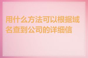 用什么方法可以根据域名查到公司的详细信息