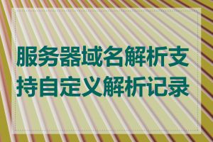 服务器域名解析支持自定义解析记录吗