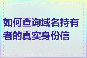 如何查询域名持有者的真实身份信息