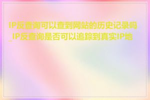 IP反查询可以查到网站的历史记录吗_IP反查询是否可以追踪到真实IP地址