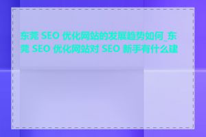 东莞 SEO 优化网站的发展趋势如何_东莞 SEO 优化网站对 SEO 新手有什么建议