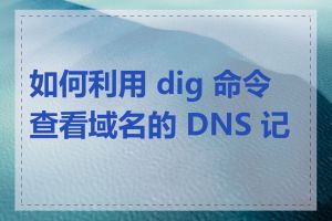 如何利用 dig 命令查看域名的 DNS 记录