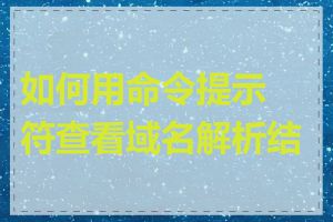 如何用命令提示符查看域名解析结果